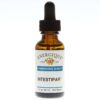 INTESTIPAR Homeopathic Remedy Digestive Support Energique