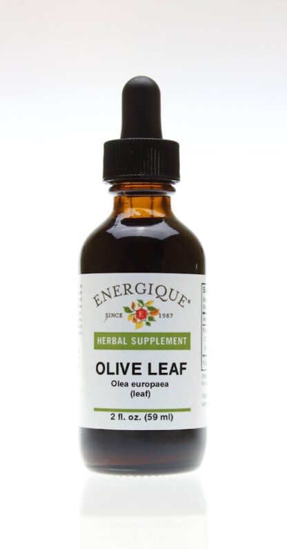 OLIVE LEAF 50% 2 fl oz Herbal Supplement Immune Support Energique