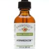 HYDRANGEACOM 2oz Herbal Supplement Liver Gallbladder Detoxifier Energique