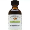 BAYBERRYCOM 2oz Herbal Supplement Urinary Detoxifier Energique