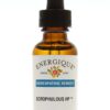 SCROPHULOUS HP Homeopathic Remedy Detoxifiers Immune Support Energique