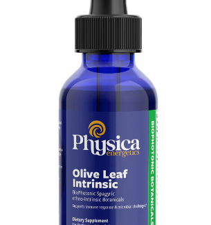 Olive Leaf Intrinsic