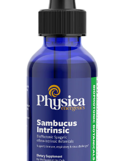 Sambucus Intrinsic
