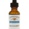 MULTI-FLOWER Homeopathic Mood Support Energique