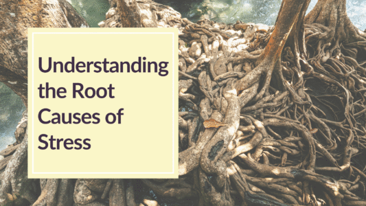 Creating Balanced Health