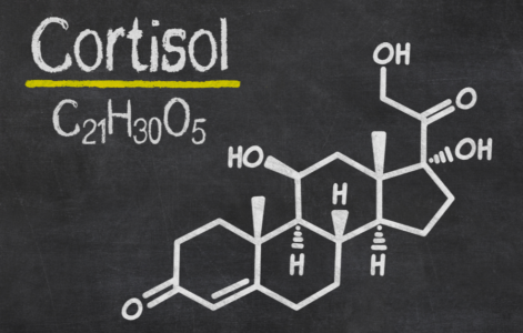 cortisol