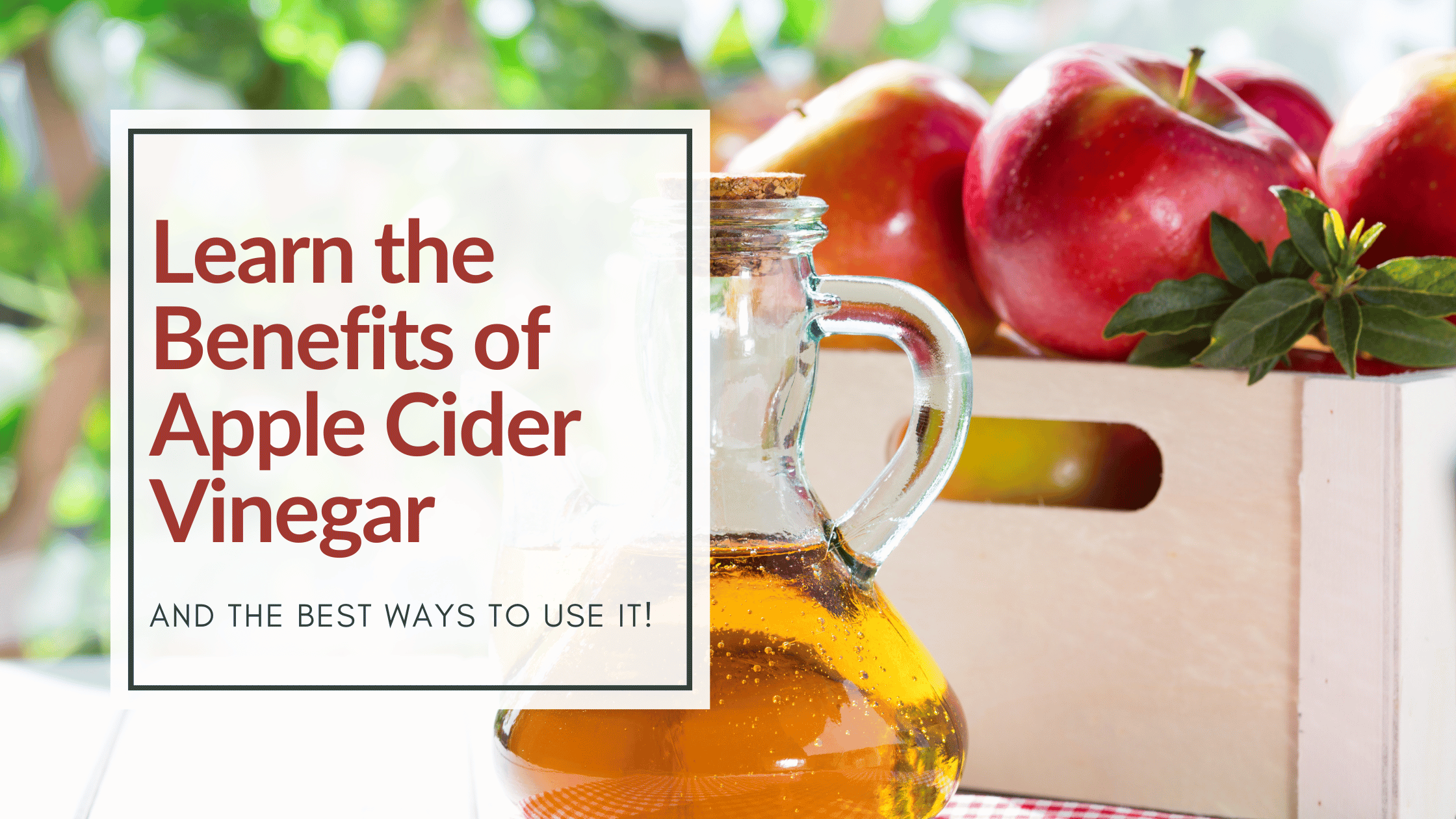 Learn the benefits of apple cider vinegar