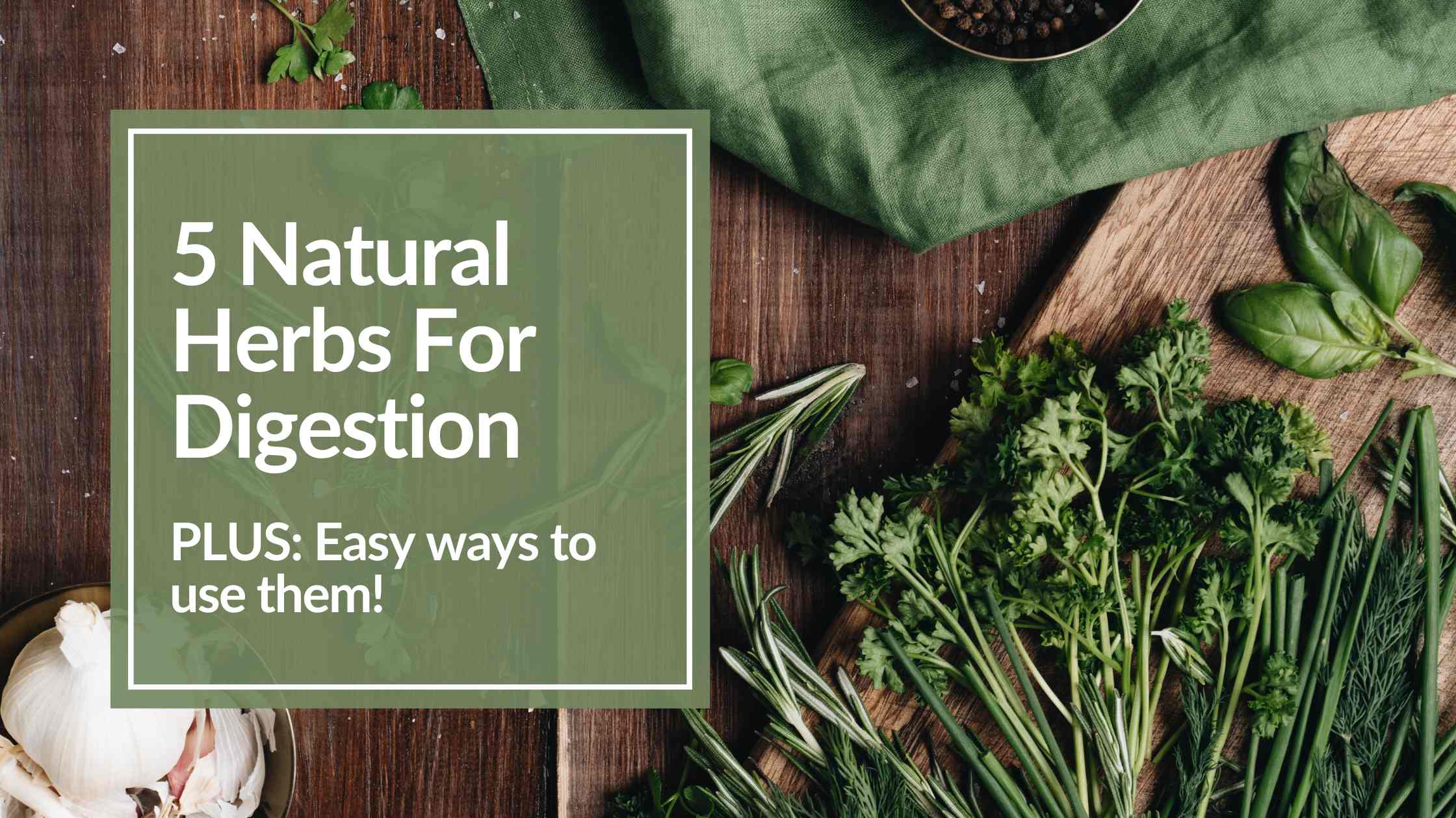 5 Natural Herbs For Digestion