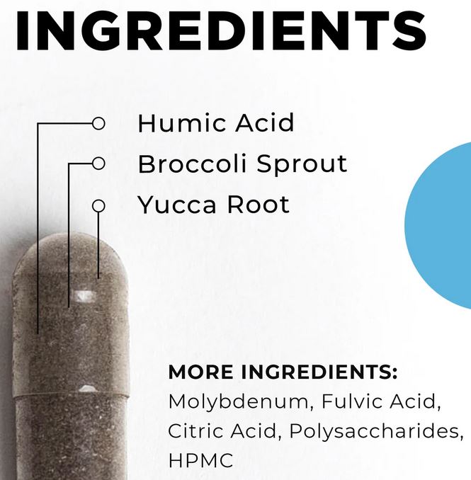 BioToxin Binder (CellCore) CBH Energetics