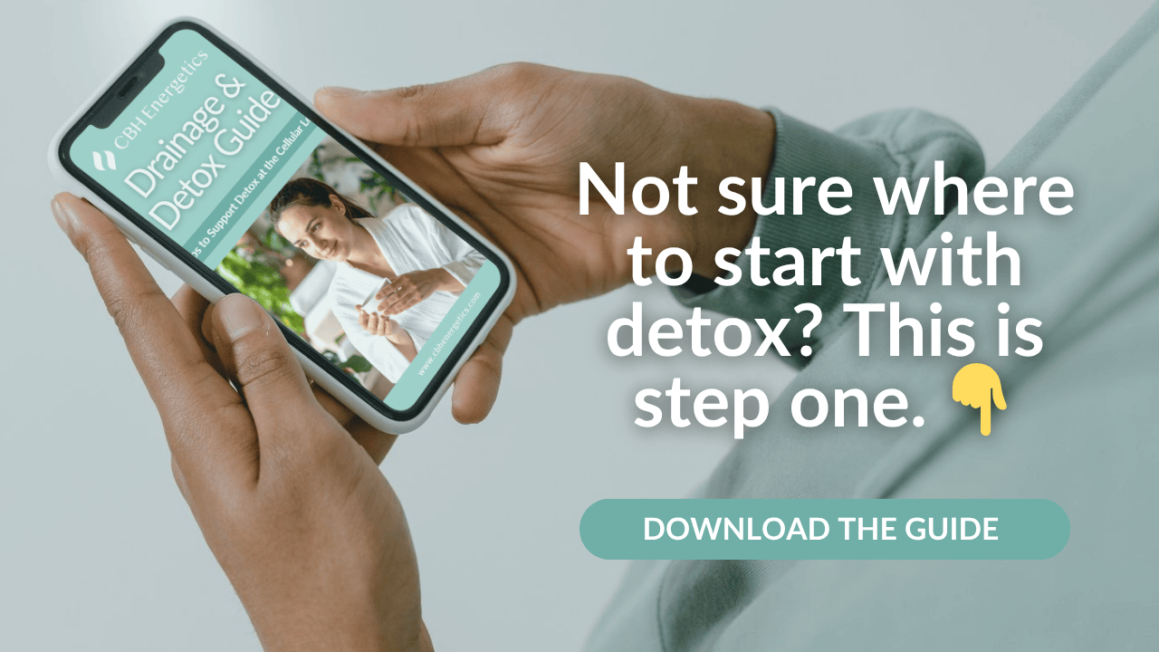 Our free Drainage & Detox Guide helps you understand where to begin so detox feels supportive, not stressful.