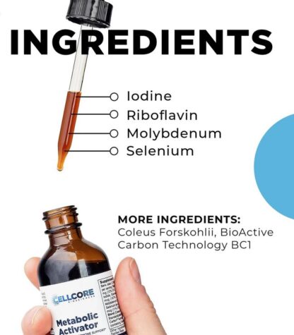 Metabolic Activator 2