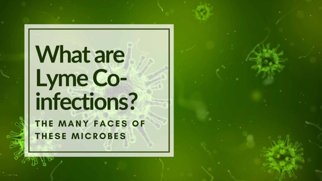 What are lyme co-infections text overlaying a picture of green bacteria