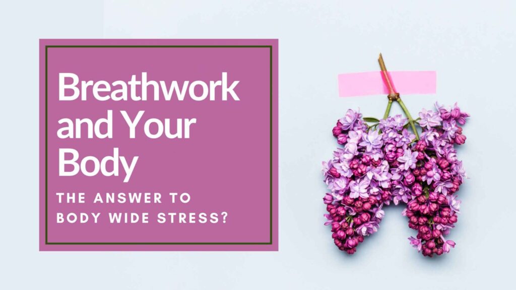 Banner image for blog about benefits of breathwork for stress with flowers arranged similar to the shape of lungs