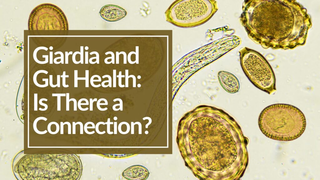 illustration of bacteria and microbes with overlaying test saying Giardia and Gut Health: Is There a Connection?