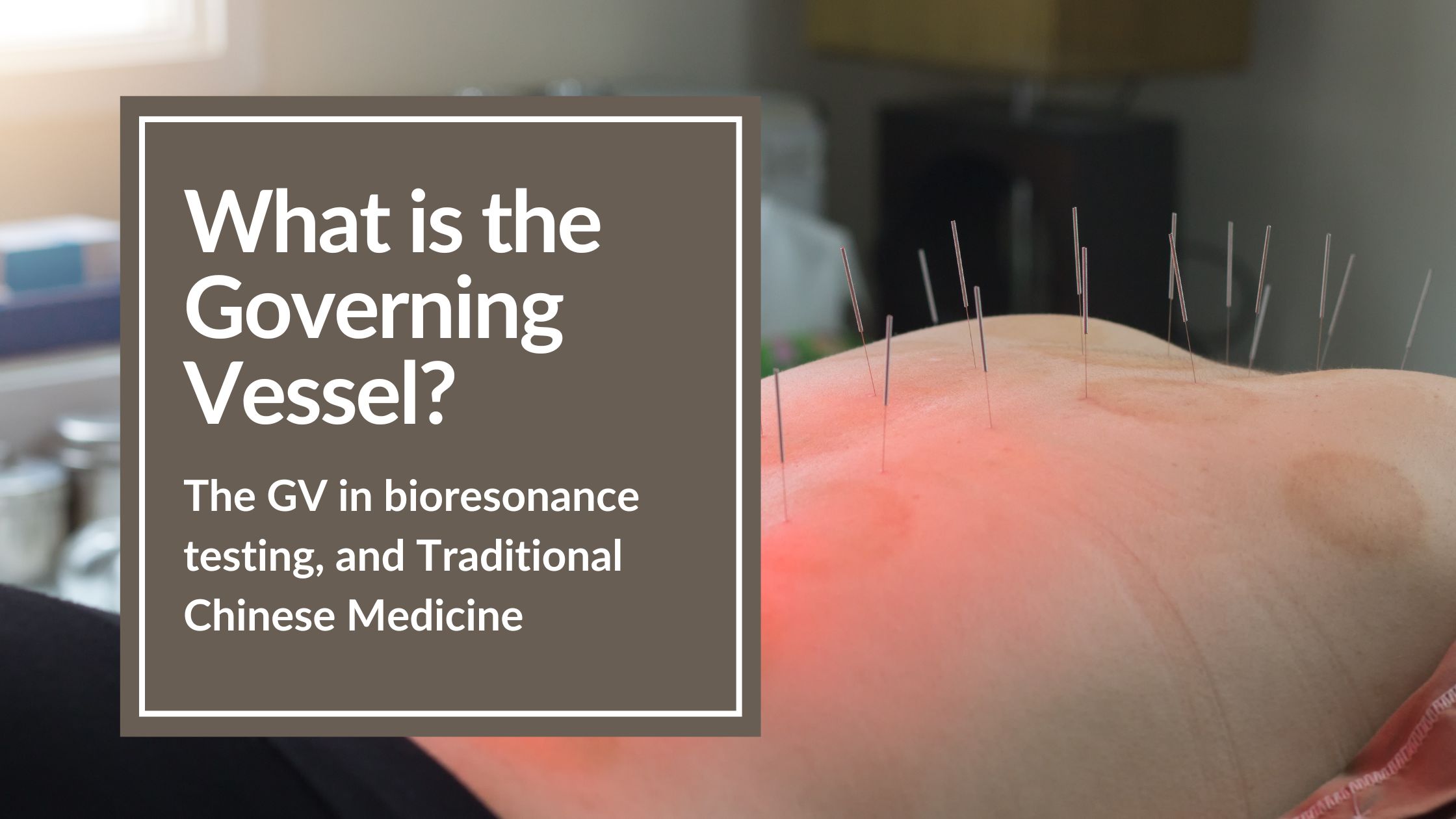 The GV in bioresonance testing, and Traditional Chinese Medicine