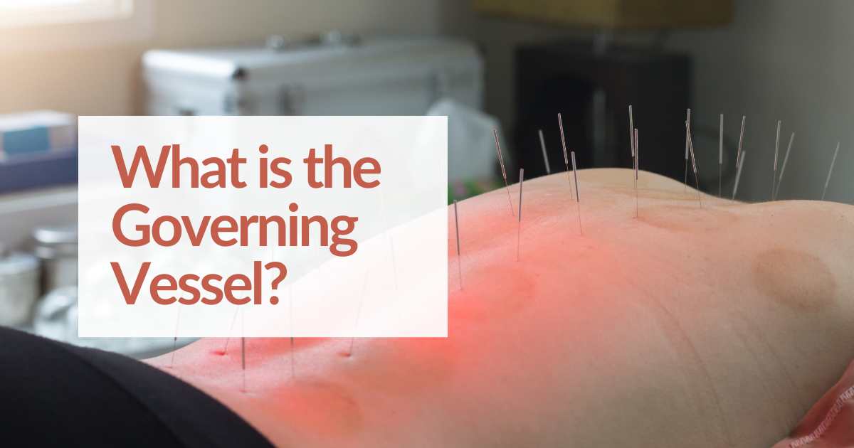 What is the Governing Vessel in TCM and Bioenergetic Testing? - CBH ...