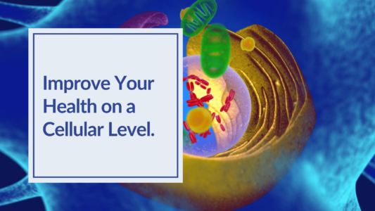 medical illustration of a cell and mitochondria