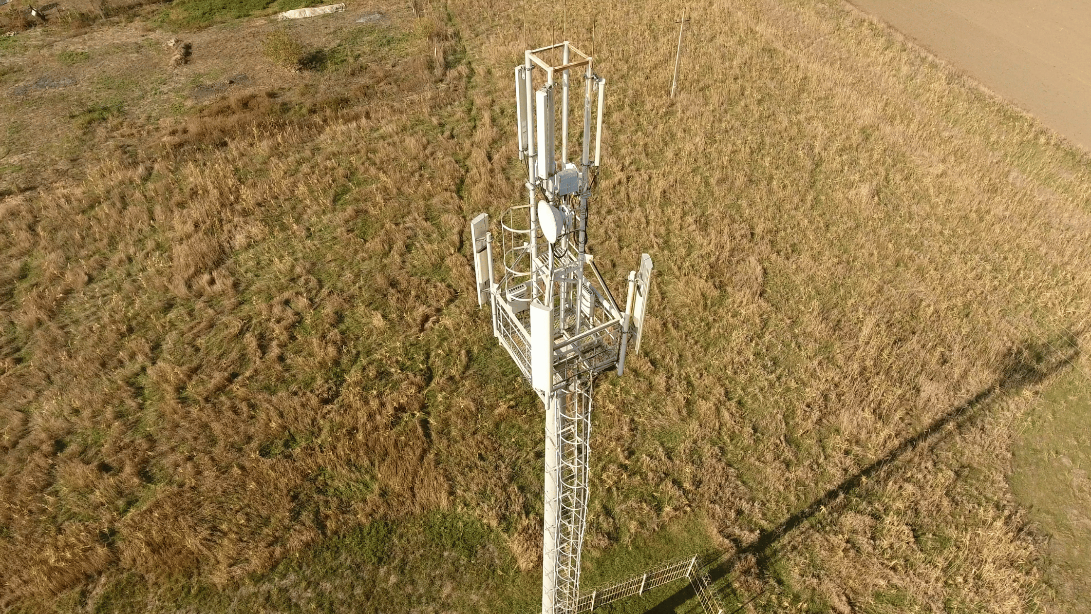 cell tower in large field