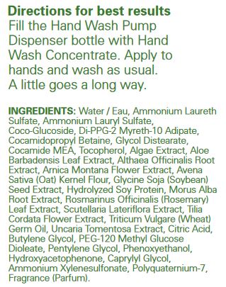 Hand Wash Concentrate Ingredients