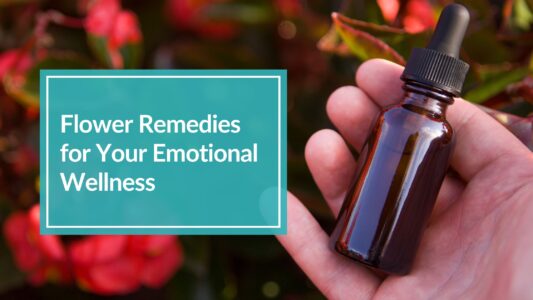 hand holding a tincture bottle with red flowers in background to to show a flower remedy for your emotional wellness