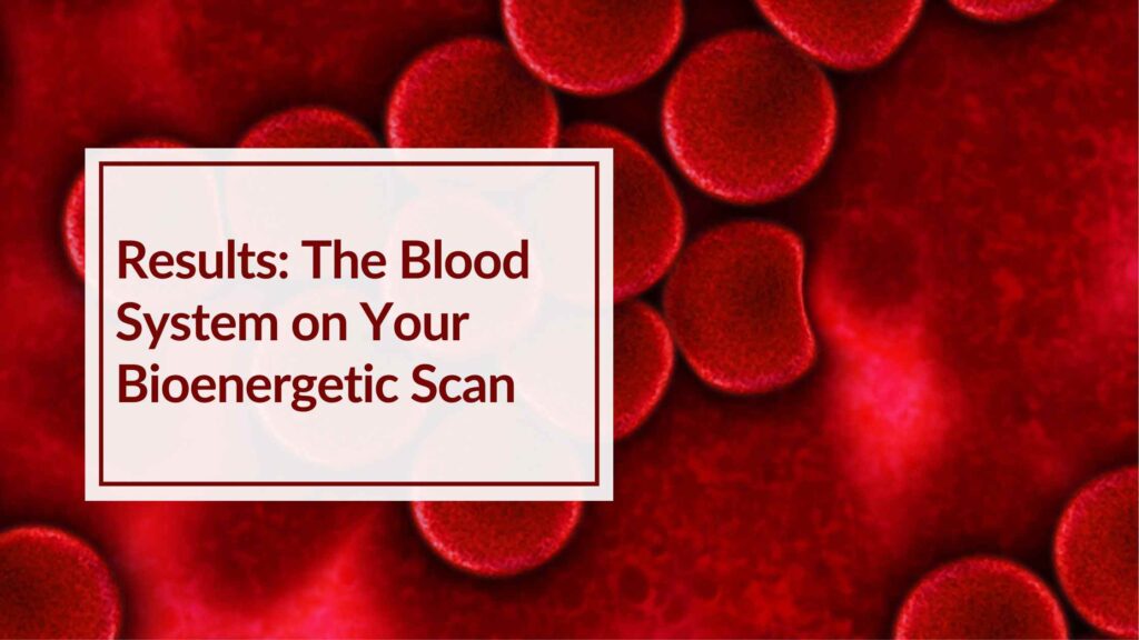 Medical Illustration of blood cells in the blood system linked to a bioenergetic scan
