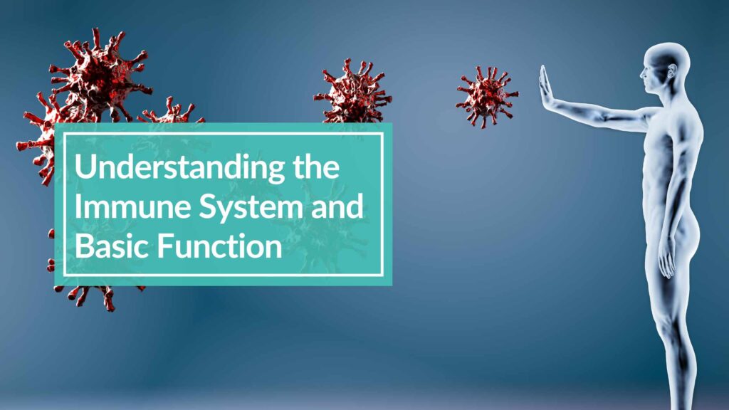 Understanding the Immune System and Basic Function
