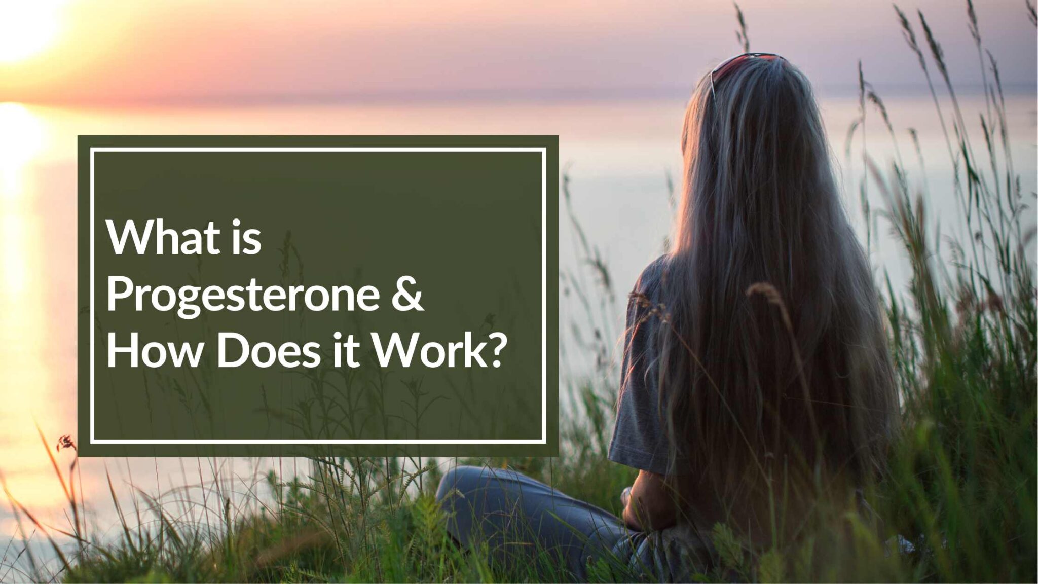 What is Progesterone & How Does it Work? - CBH Energetics