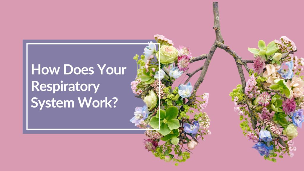 Your Respiratory System is shown with a photo of lungs made of flowers