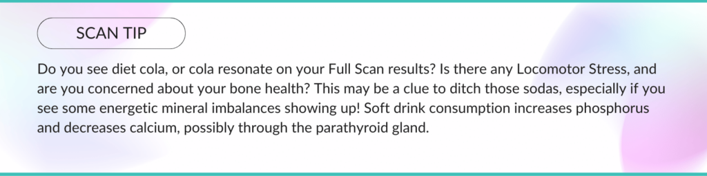 scan tip the locomotor system strong bones