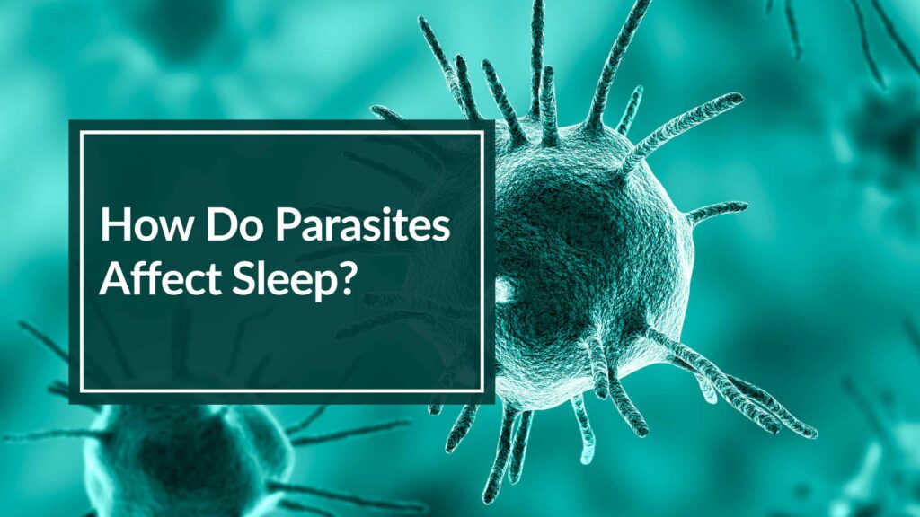 image of microscopic cells to show how parasites affect sleep