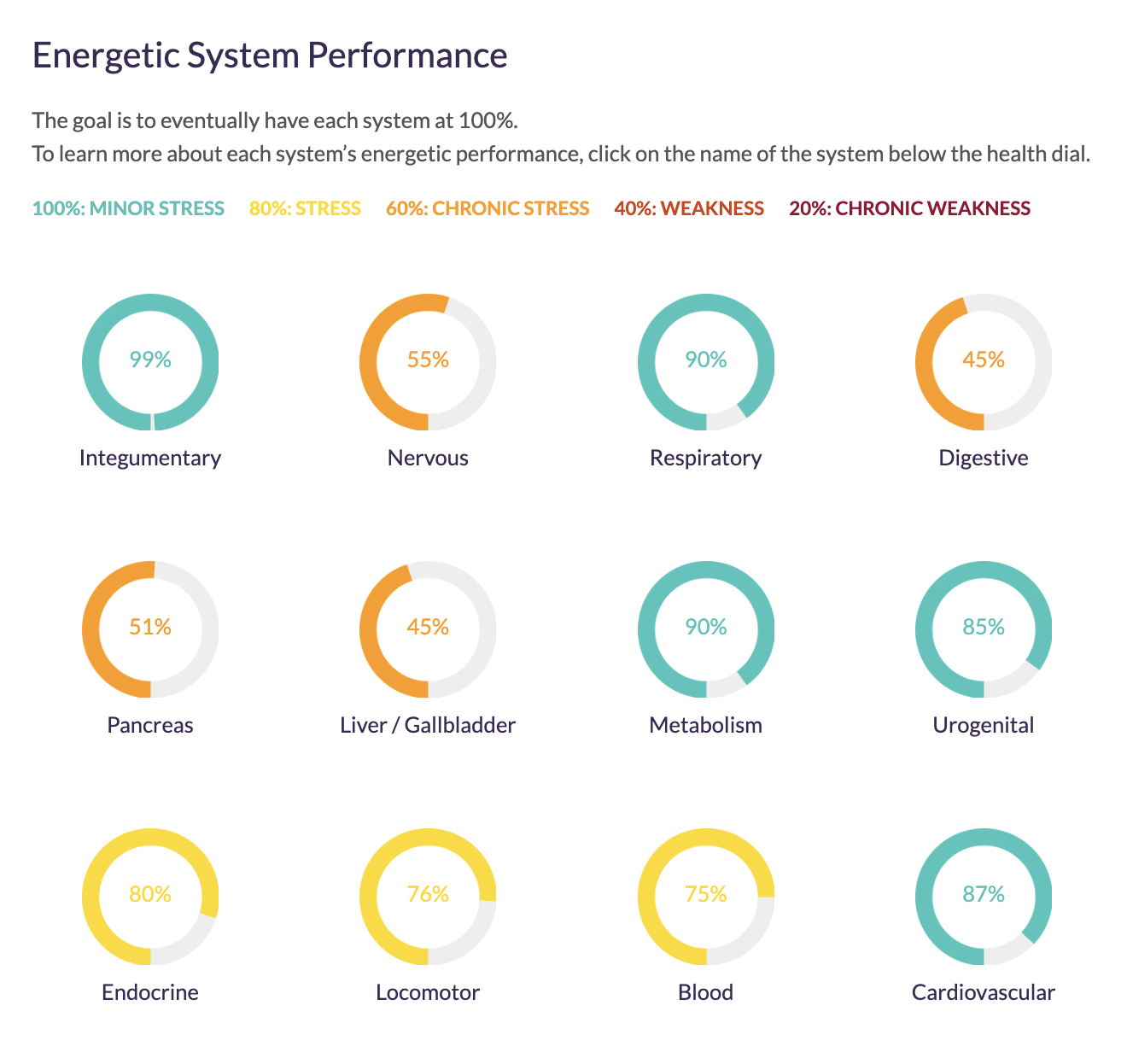 CBH Energetics Bioresonance Test Report Sample