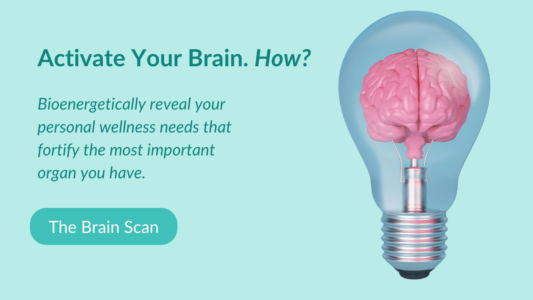 CTA CBH Enegetics Brain Scan