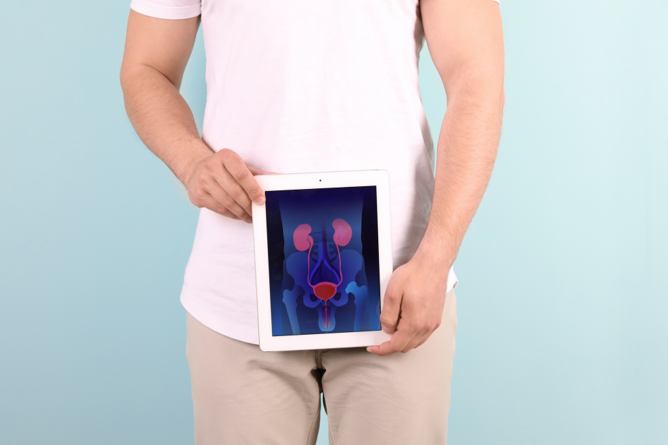 Man wearing a white shirt with beige pants. It is a shot of his torso and part of his upper legs. It is in front of a blue background. He is holding a tablet with an anatomy drawing. 