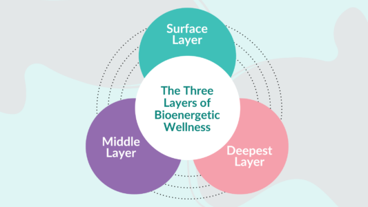 circle graph showing the layers of bioenergetic wellness 