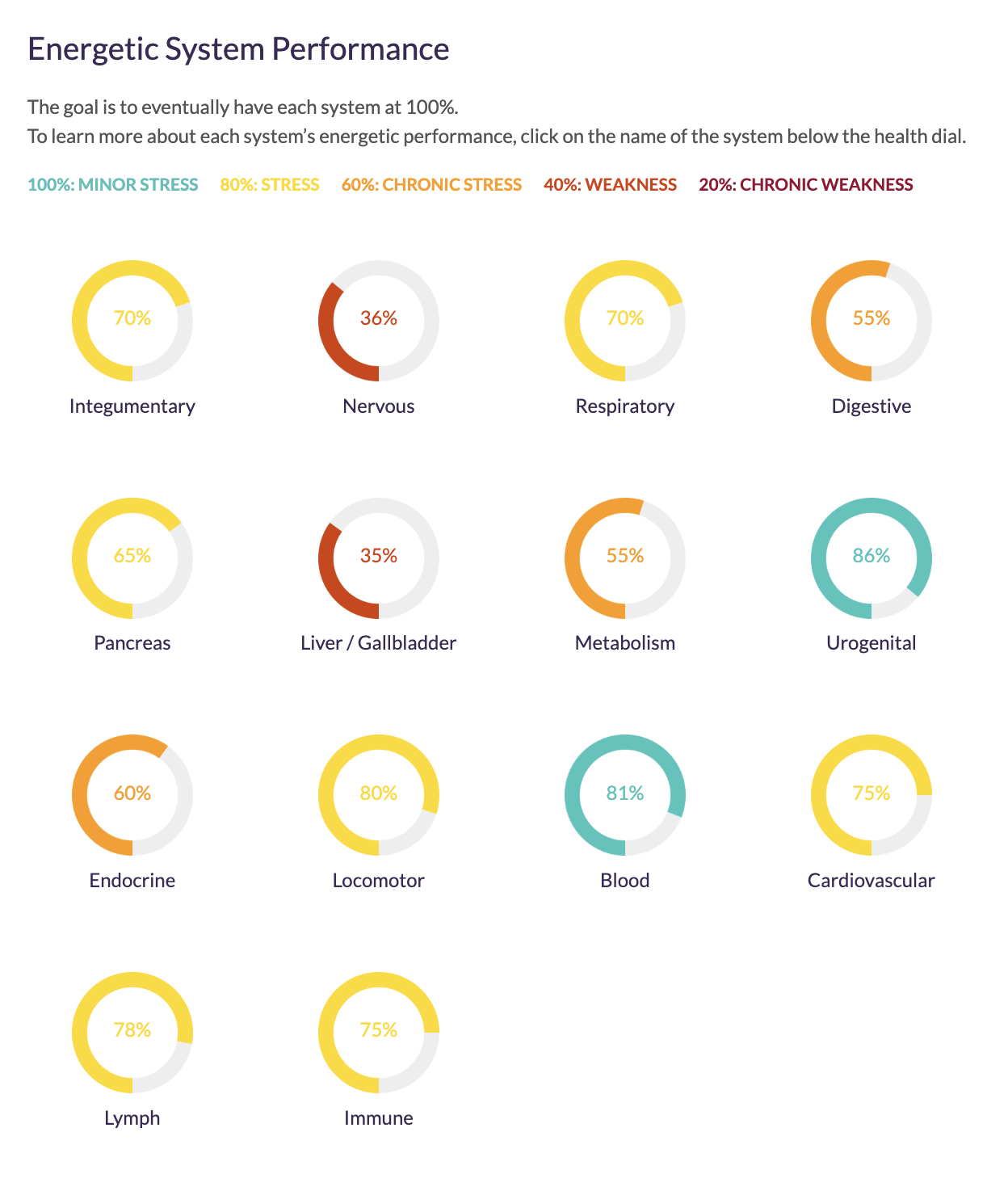 Bioenergetics Test Results