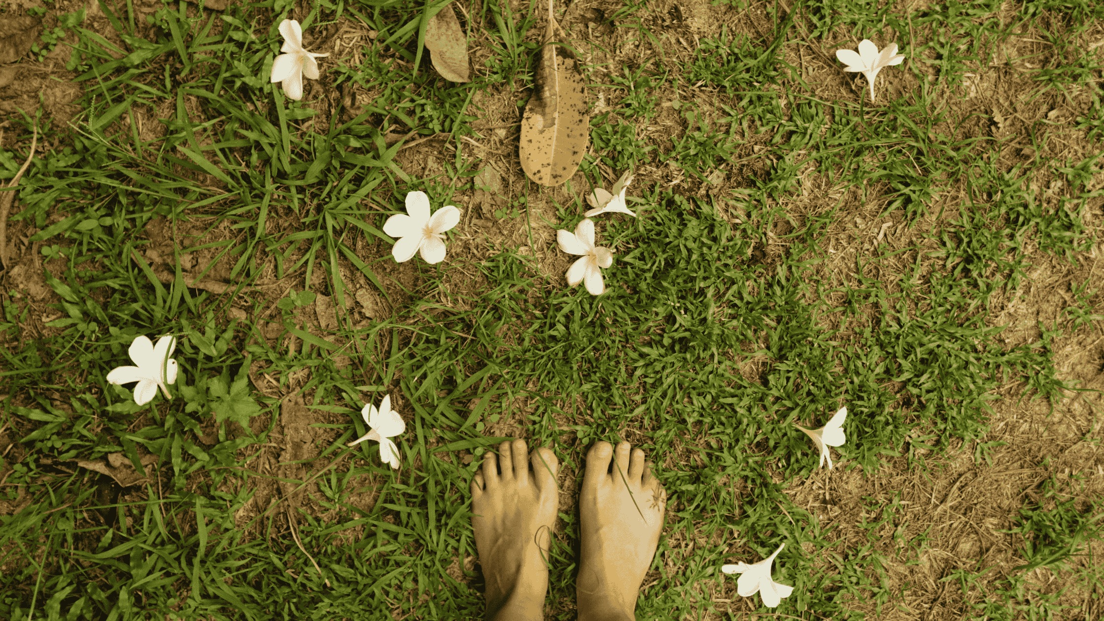 Bioenergetic grounding exercise with feet on the grass.