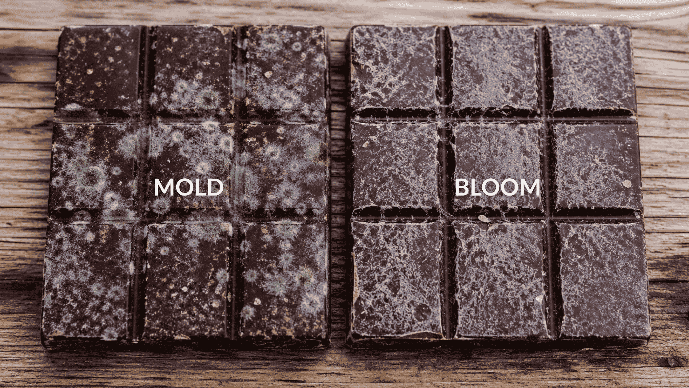 difference between chocolate mold and chocolate bloom