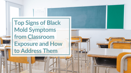 A picture of an empty classroom. Text overlay: Top Signs of Black Mold Symptoms from Classroom Exposure and How to Address Them