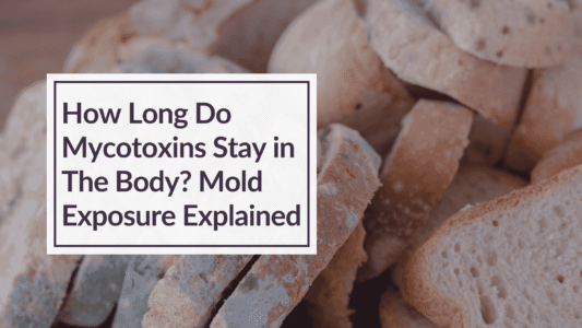 Moldy bread in the background with overlay text: How Long Do Mycotoxins Stay in The Body? Mold Exposure Explained