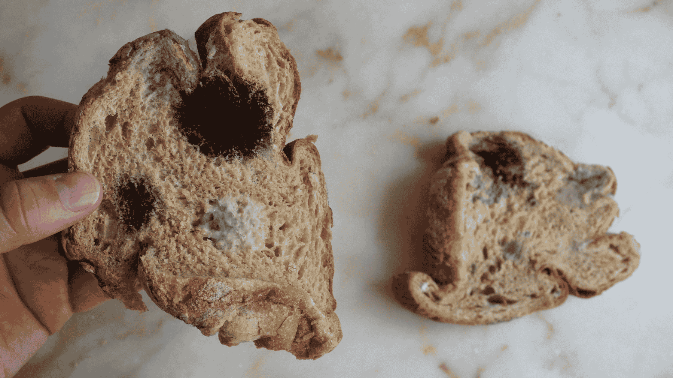 Moldy bread! To avoid mycotoxins in food.