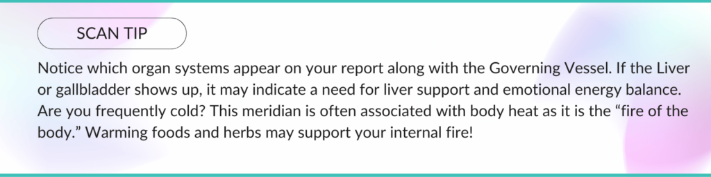 text copy describing the connections between liver or gallbladder support and governing vessel