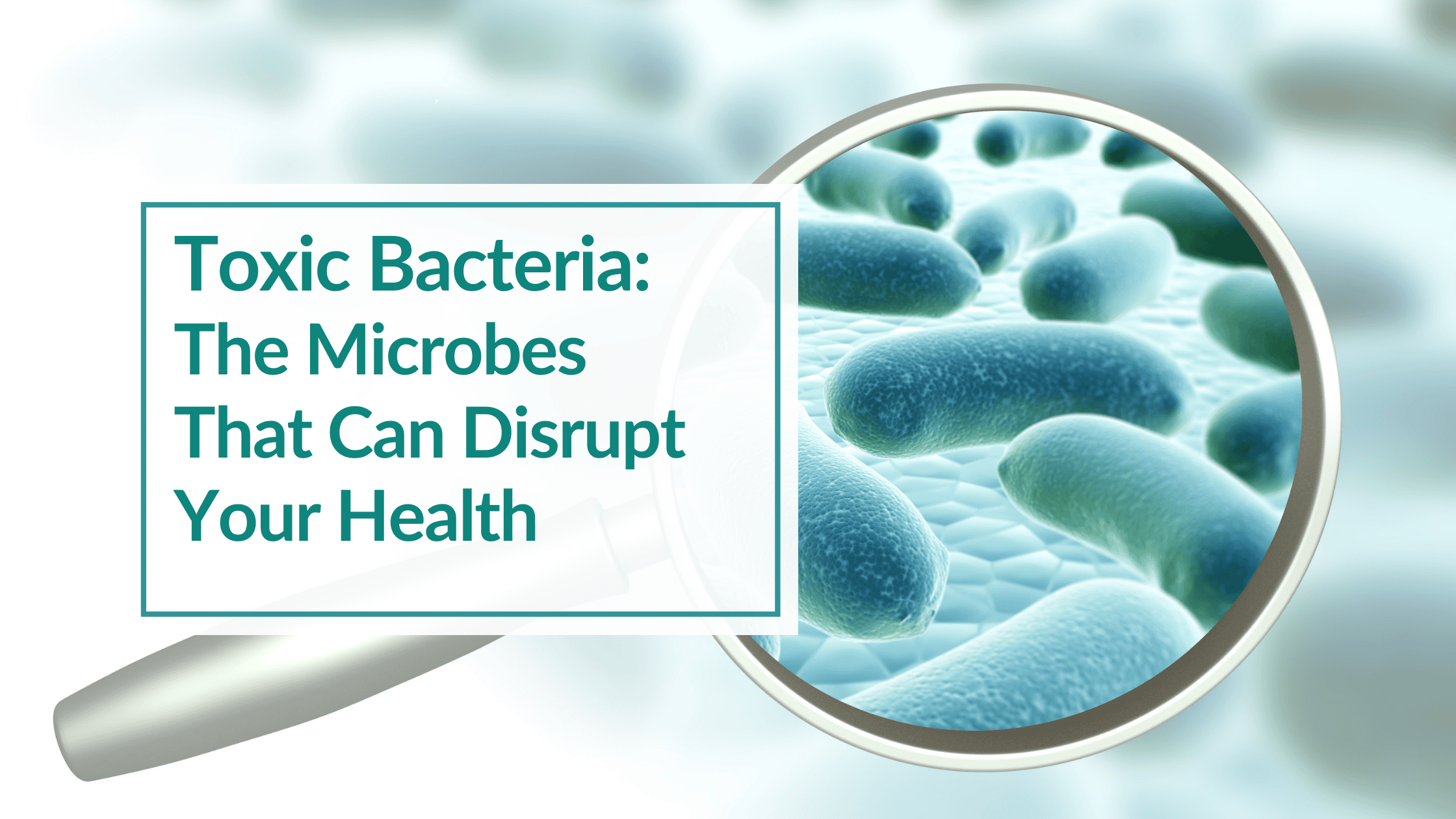 Blue colored bacteria behind a magnifying glass. Text Overlay: Toxic Bacteria: The Microbes That Can Disrupt Your Health