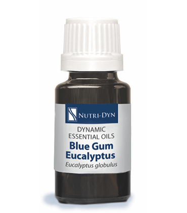 Dynamic Essentials Blue Gum Eucalyptus globulus Essential Oil NutriDyn