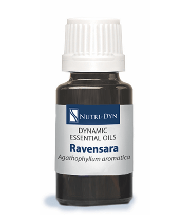 Dynamic Essentials Ravensara Essential Oil NutriDyn