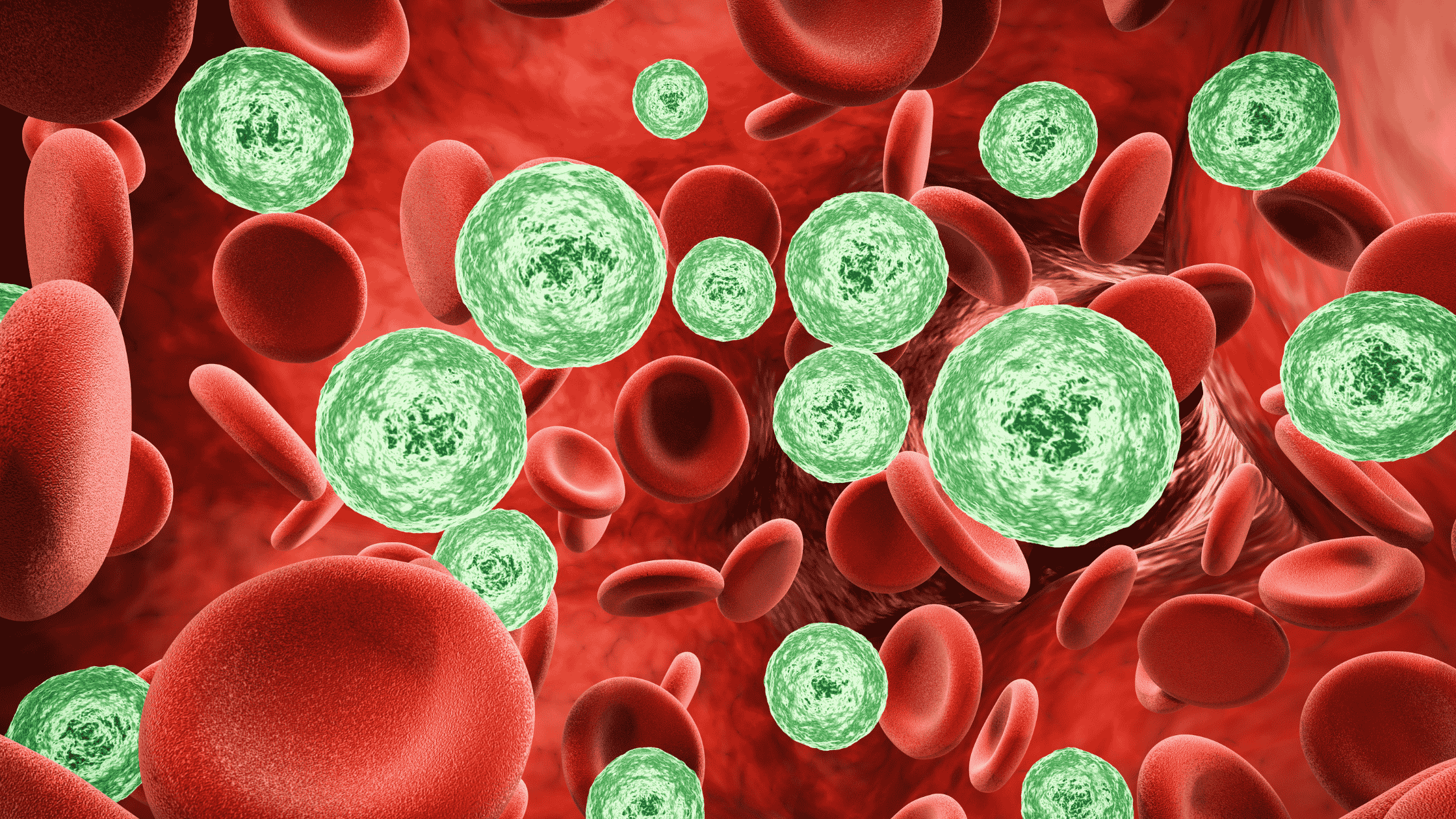red blood cells and bacteria