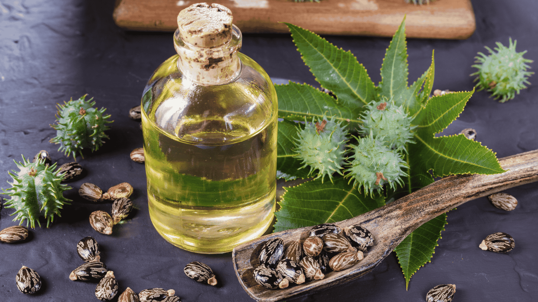 castor beans and a bottle of castor oil