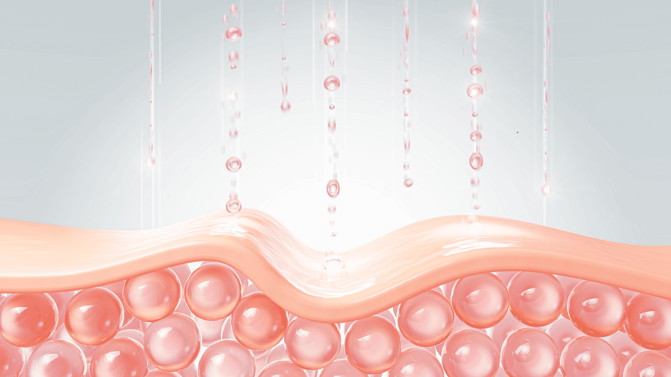 This picture shows a rendered image of the skin.