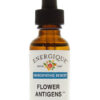 Flower Antigens Homeopathic Remedy Symptom Relief of Flower Allergies Energique