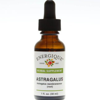 Astragalus