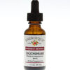 Chuchuhuasi Herbal Supplement Supports Inflammation Response Immune System Energique